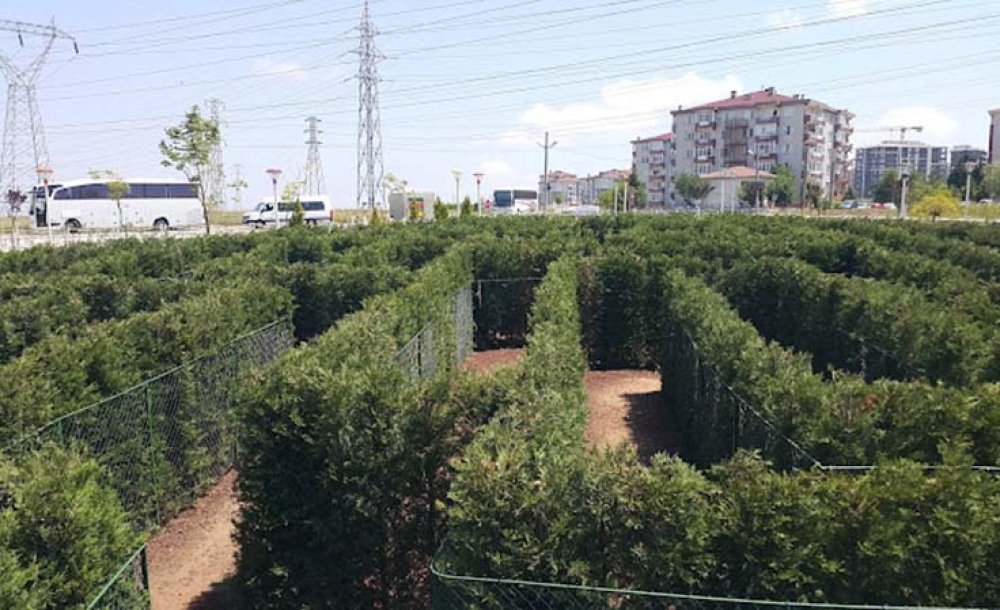 Nefes Parkın Simgesi Labirent, Özelliğini Yitirdi!