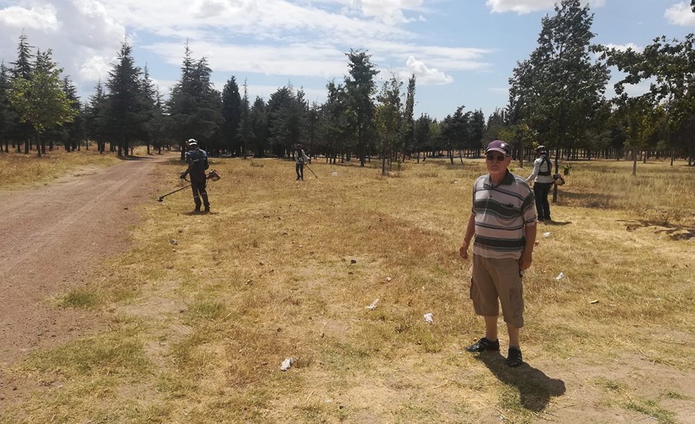 Tema Parkı'ndaki Otlar Biçildi