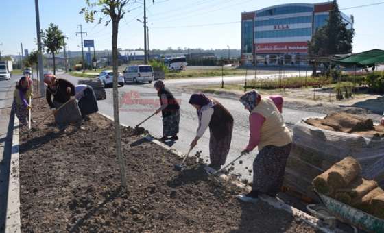 Ergene Belediyesi'nden Çimleme Çalışması