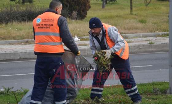 Büyükşehirden Ergene'de Peyzaj Çalışması