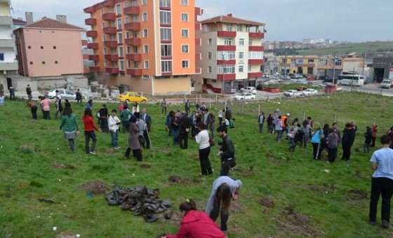 Sedir Fidanları Toprakla Buluştu