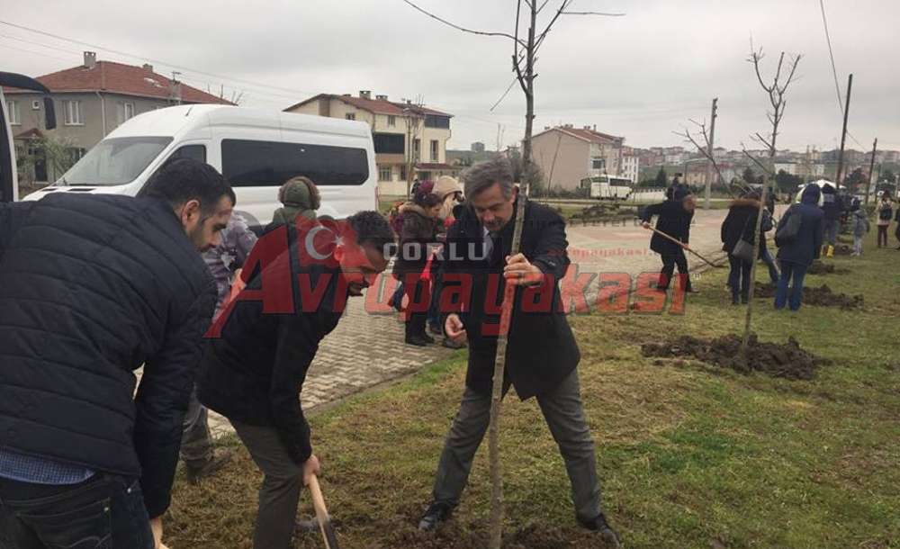 Ergene'de Orman Haftasında Ağaç Dikildi