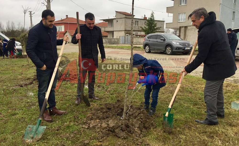 Ergene'de Orman Haftasında Ağaç Dikildi