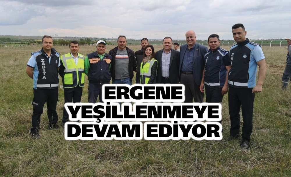 Ergene Yeşillenmeye Devam Ediyor