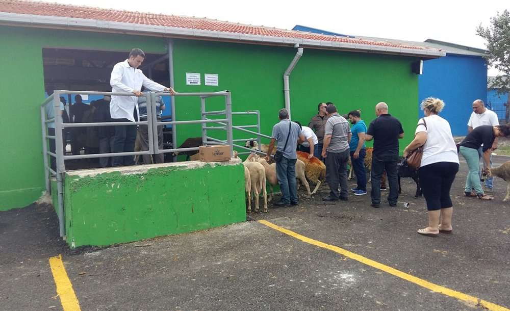 Büyükşehir Belediyesi'nden Güvenli Gıda Sevkiyatı