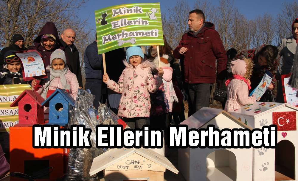 "minik Ellerin Merhameti" Projesi Ile Hayvan Sevgisi Aşıladılar