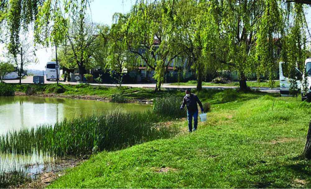 Ergene Belediyesi Sivrisinek Larvalarına Karşı İlaçlama Yaptı 