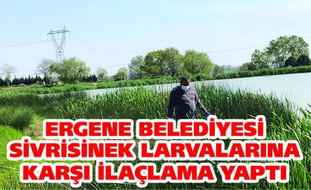 Ergene Belediyesi Sivrisinek Larvalarına Karşı İlaçlama Yaptı 