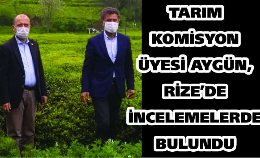 Tarım Komisyon Üyesi Aygün, Rize'de İncelemelerde Bulundu 