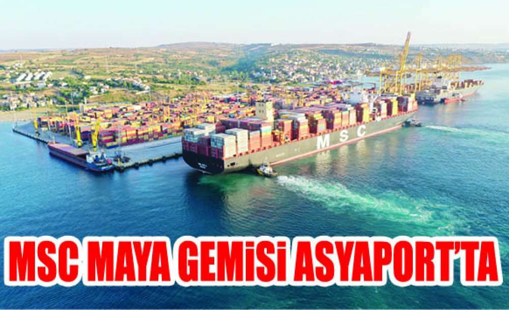 Msc Maya Gemisi Asyaport'ta 