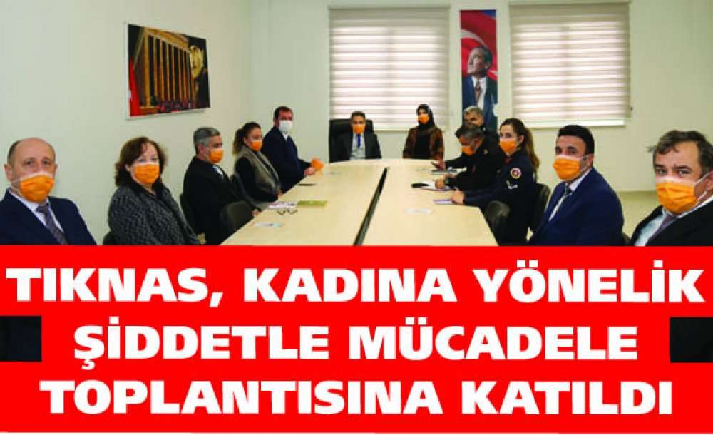 Tıknas, Kadına Yönelik Şiddetle Mücadele Toplantısına Katıldı