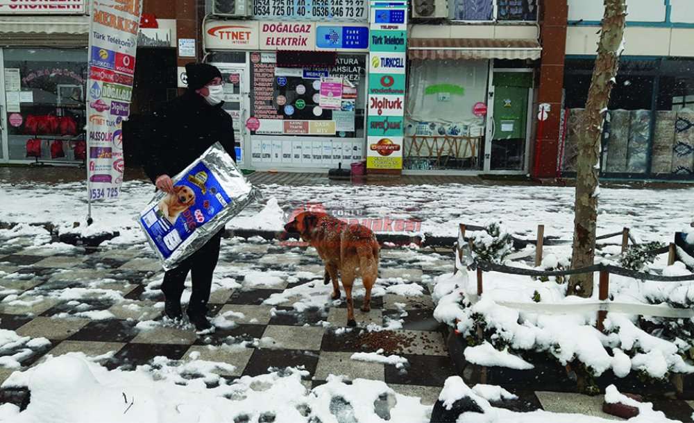 Başkan Yüksel Sokak Hayvanlarını Elleri Ile Besledi