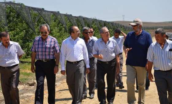 Edirneli Çiftçiler Tekirdağ'da İnceleme Yaptı