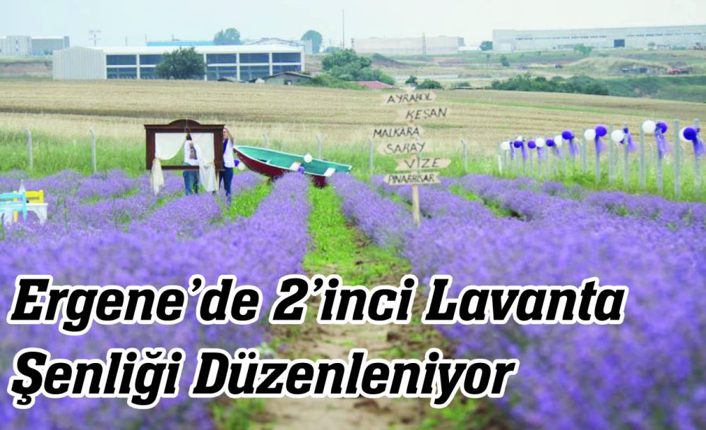 Ergene'de 2'Inci Lavanta Şenliği Düzenleniyor