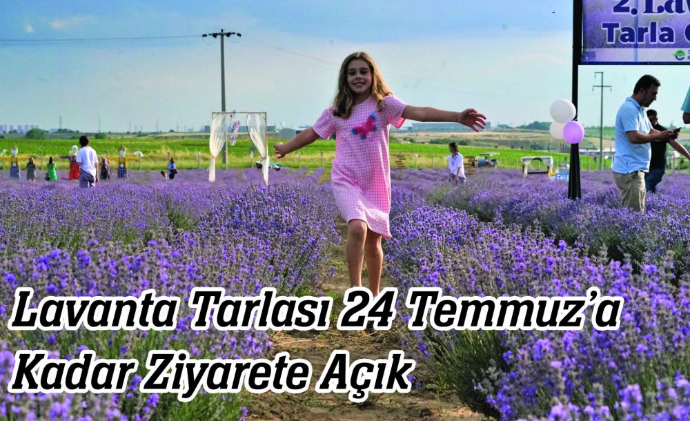 Lavanta Tarlası 24 Temmuz'a Kadar Ziyarete Açık