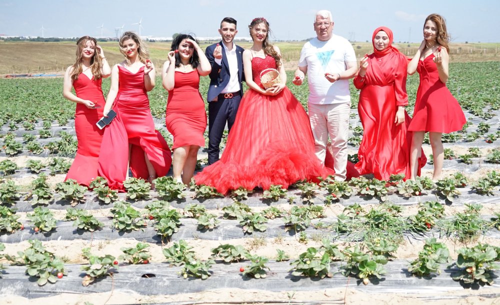 Ergene'de Çilek Tarlası Doğal Stüdyo Oldu