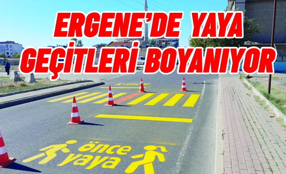 Ergene'de Yaya Geçitleri Boyanıyor