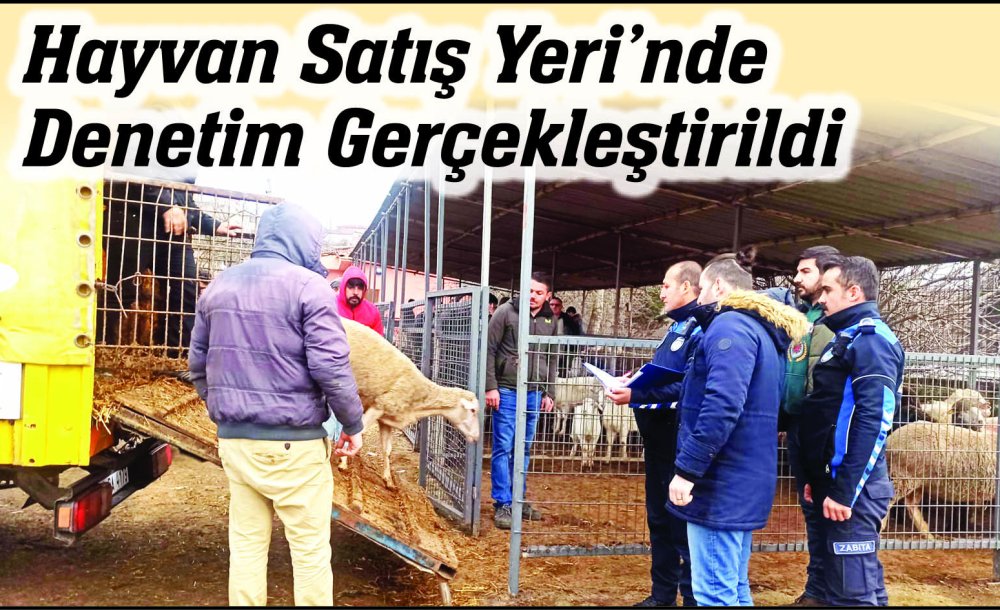 Hayvan Satış Yeri'nde Denetim Gerçekleştirildi