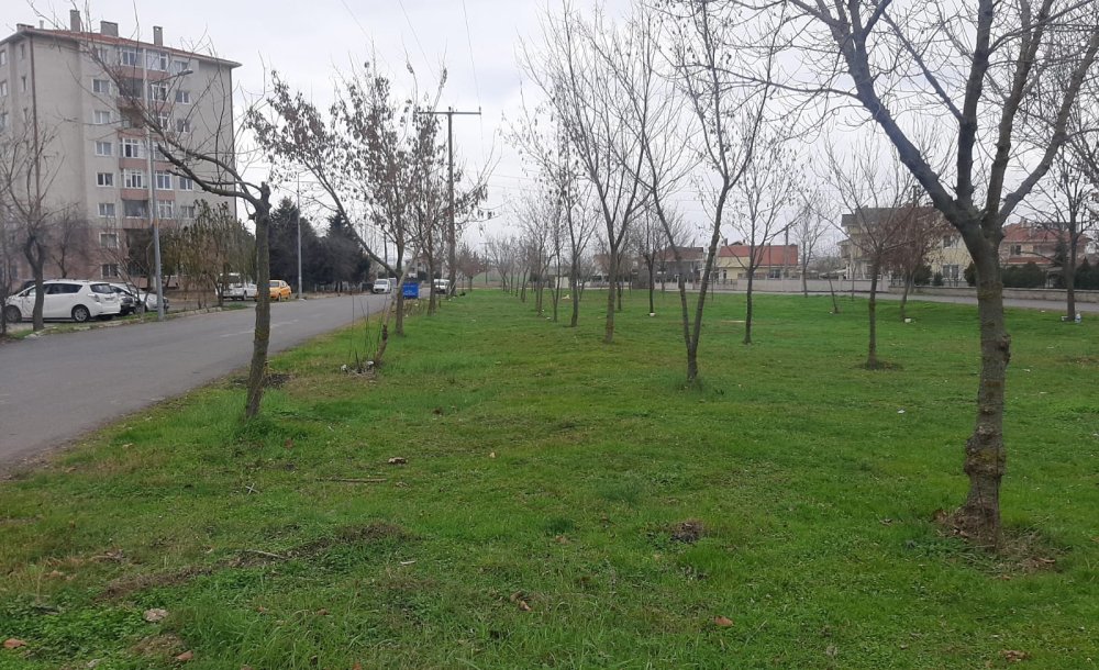 Mahalle Sakinleri Bu Alanda Düzenleme Bekliyor