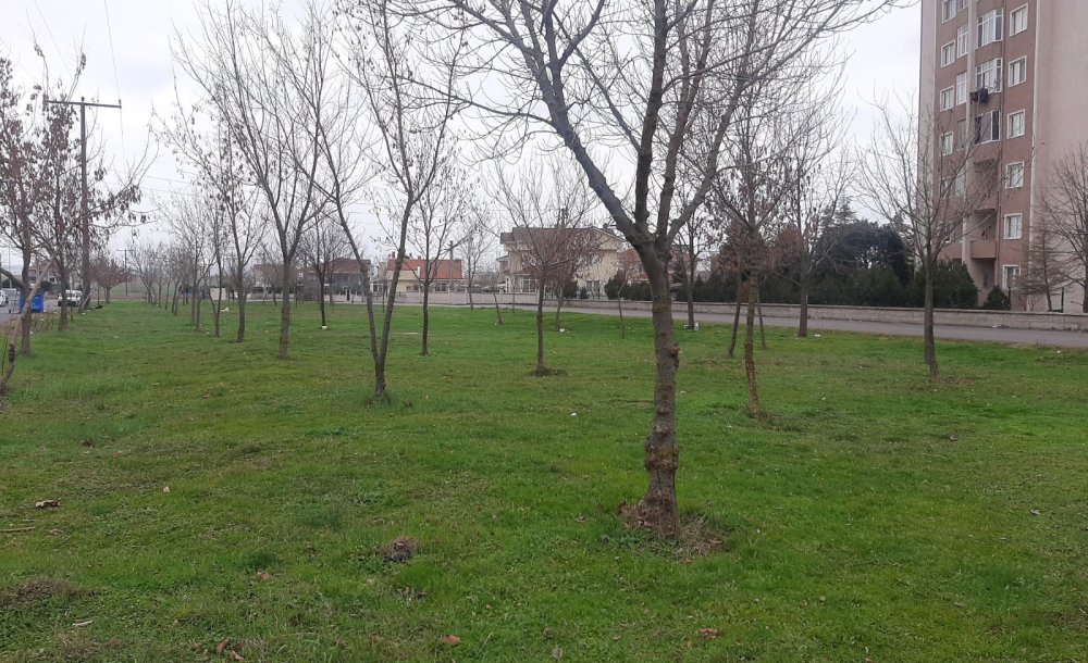 Mahalle Sakinleri Bu Alanda Düzenleme Bekliyor