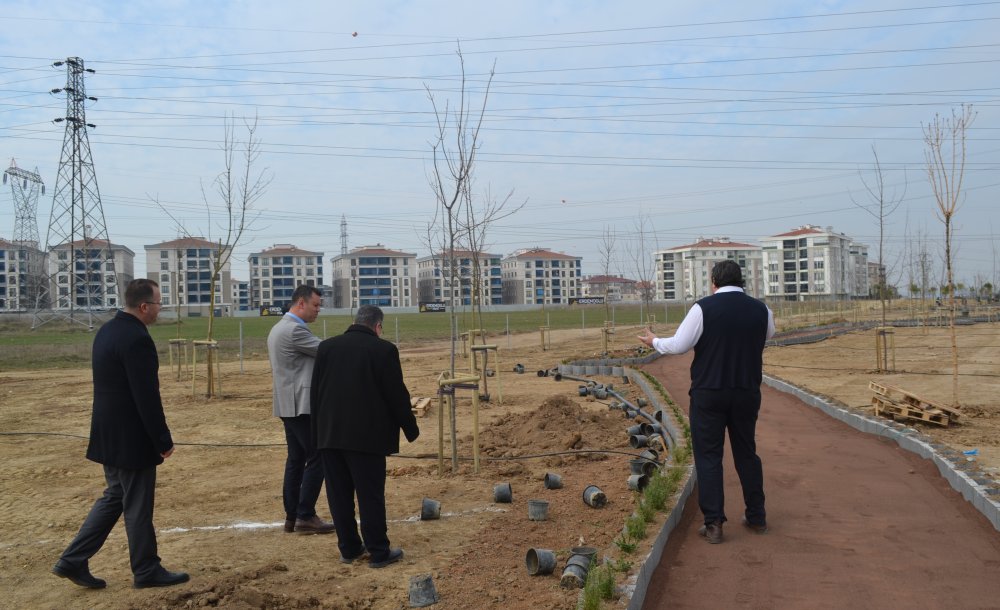  “Yeşil Alan Yaratmak İçin Çalışıyoruz”