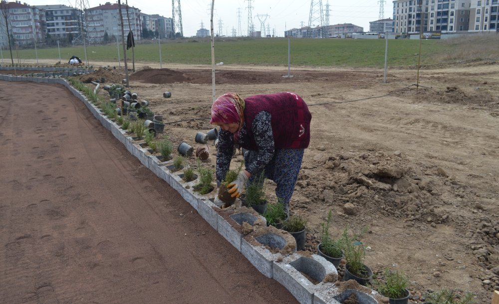  “Yeşil Alan Yaratmak İçin Çalışıyoruz”