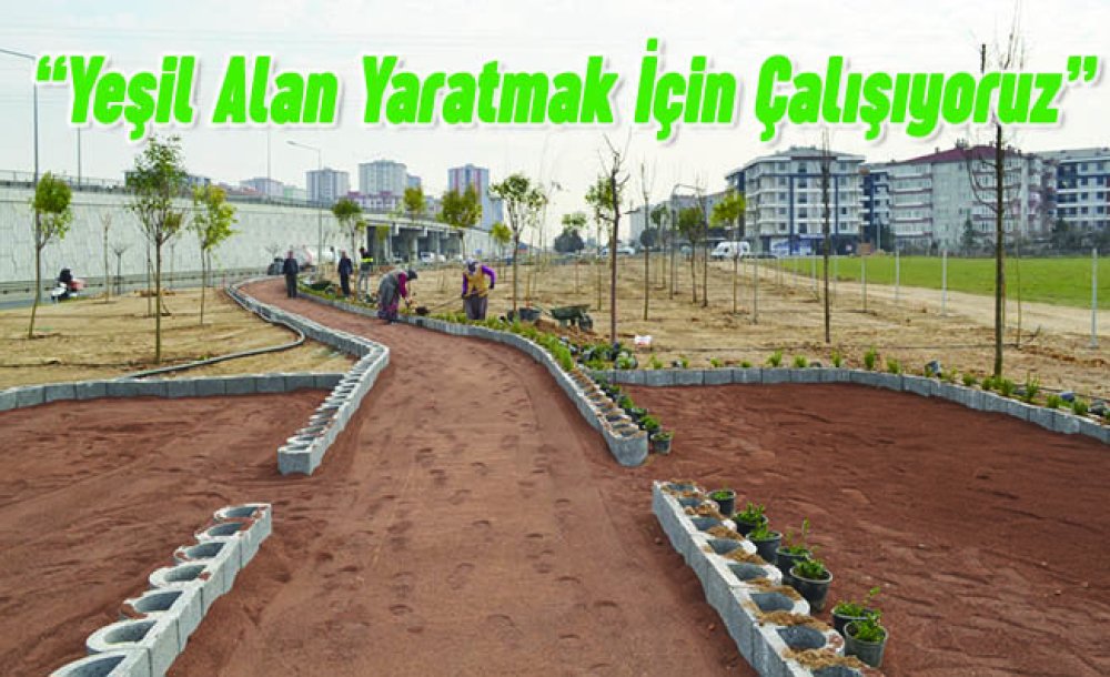  “Yeşil Alan Yaratmak İçin Çalışıyoruz”