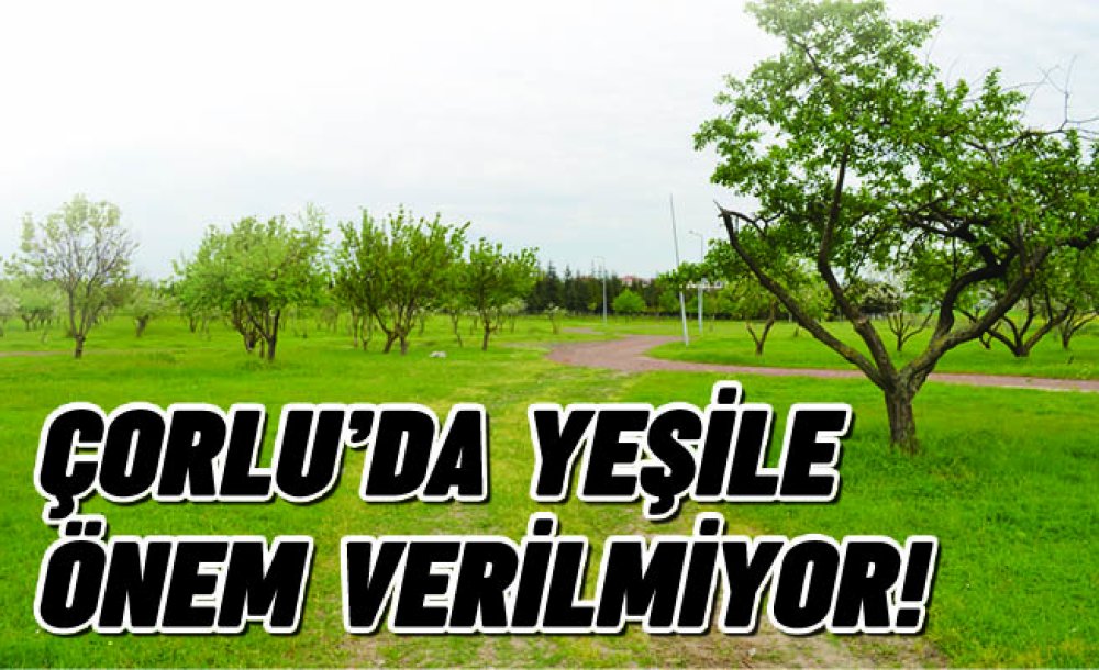 Çorlu'da Yeşile Önem Verilmiyor!