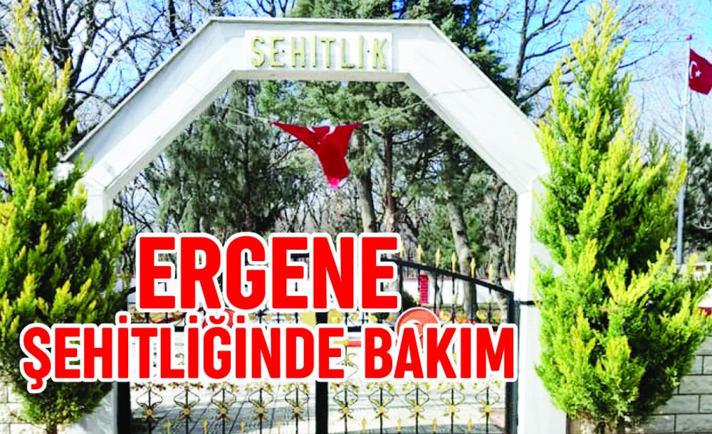 Ergene Şehitliğinde Bakım