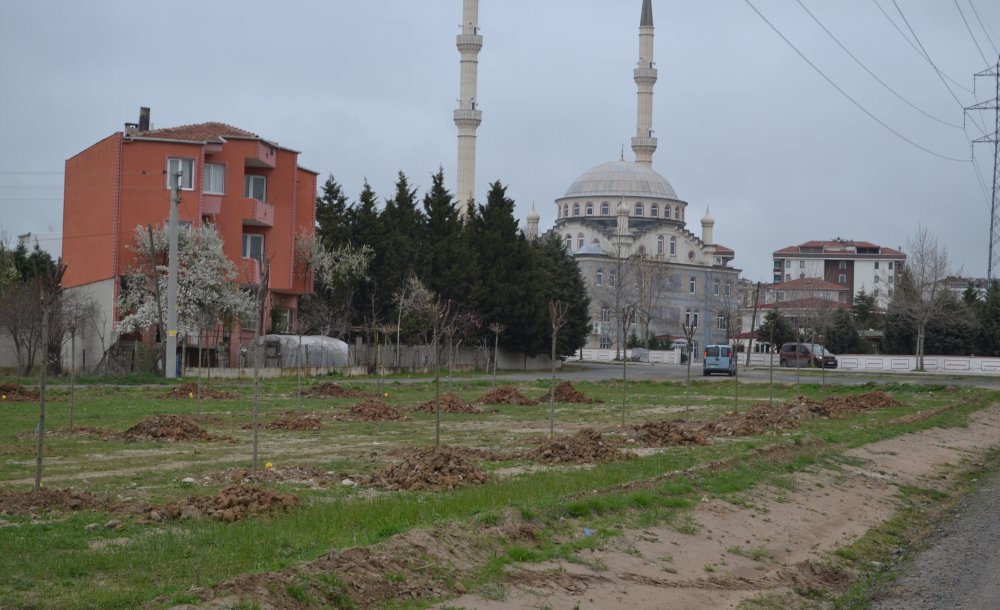 Rumeli Mahallesi Parkına Kavuşuyor