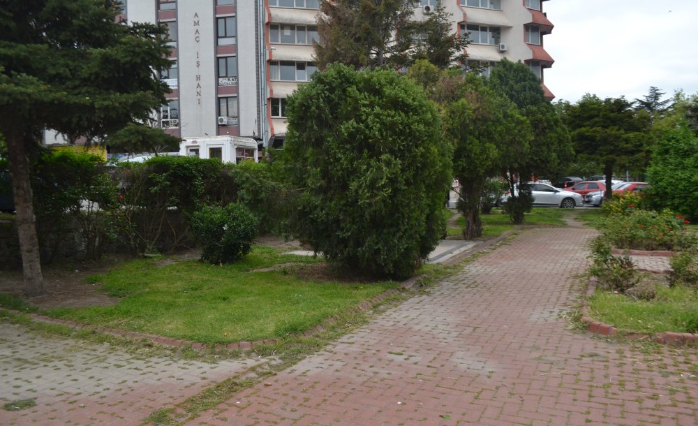 Uyuşturucu Kullanılan O Park Tertemiz