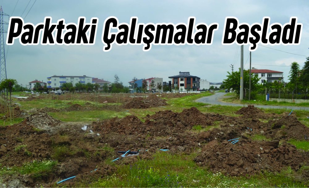 Parktaki Çalışmalar Başladı