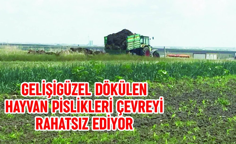 Gelişigüzel Dökülen Hayvan Pislikleri Çevreyi Rahatsız Ediyor