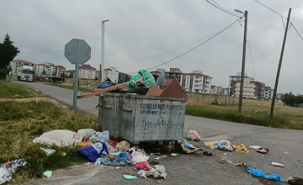 Çöpler Taşmış Belediyenin Haberi Yok!