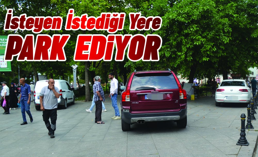 İsteyen İstediği Yere Park Ediyor 