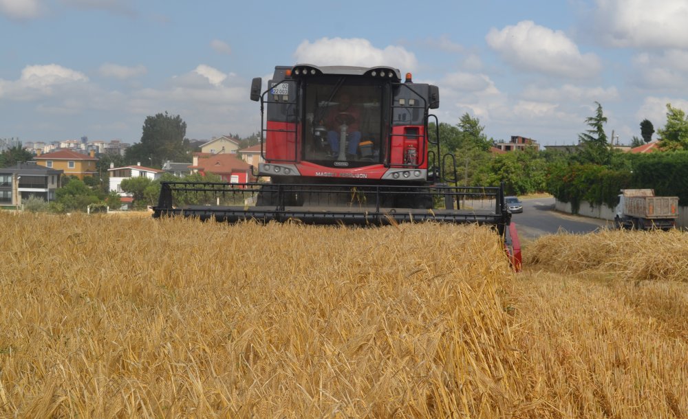 Anadolu'da Verim Artışı Var, Trakya'da Yok!