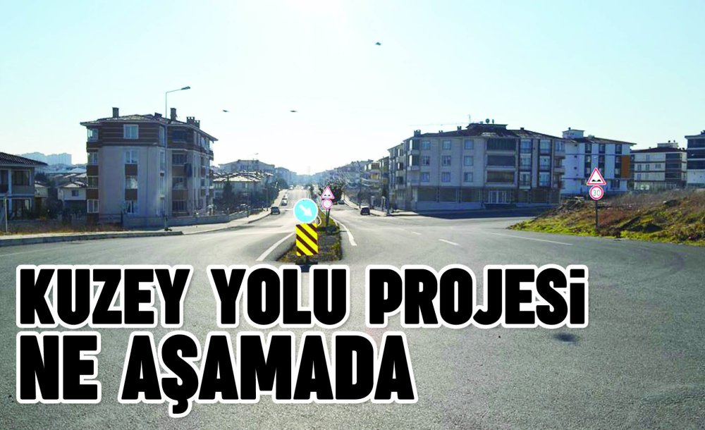 Kuzey Yolu Projesi Ne Aşamada?