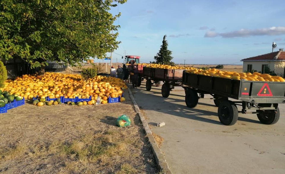 Seymen Kavunu Coğrafi İşaret Aldı  