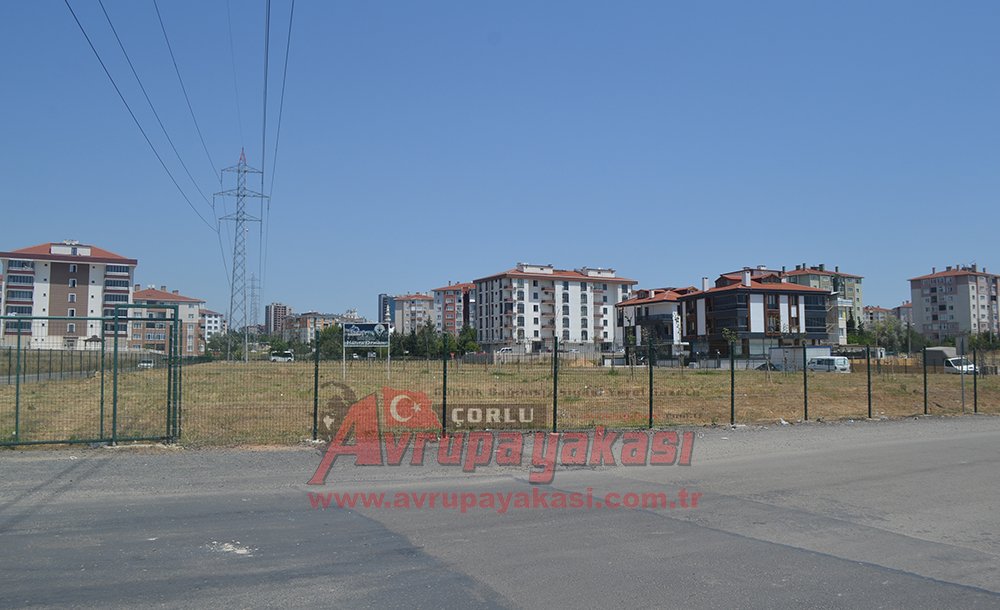 Törenle Açılan Hatıra Ormanı Bakımsızlıktan Kurudu 