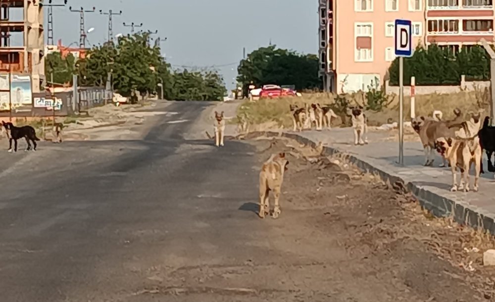  Toki̇ Bölgesinde Sorunlar Bitmek Bilmiyor!