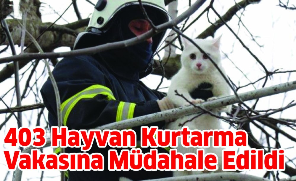 403 Hayvan Kurtarma Vakasına Müdahale Edildi