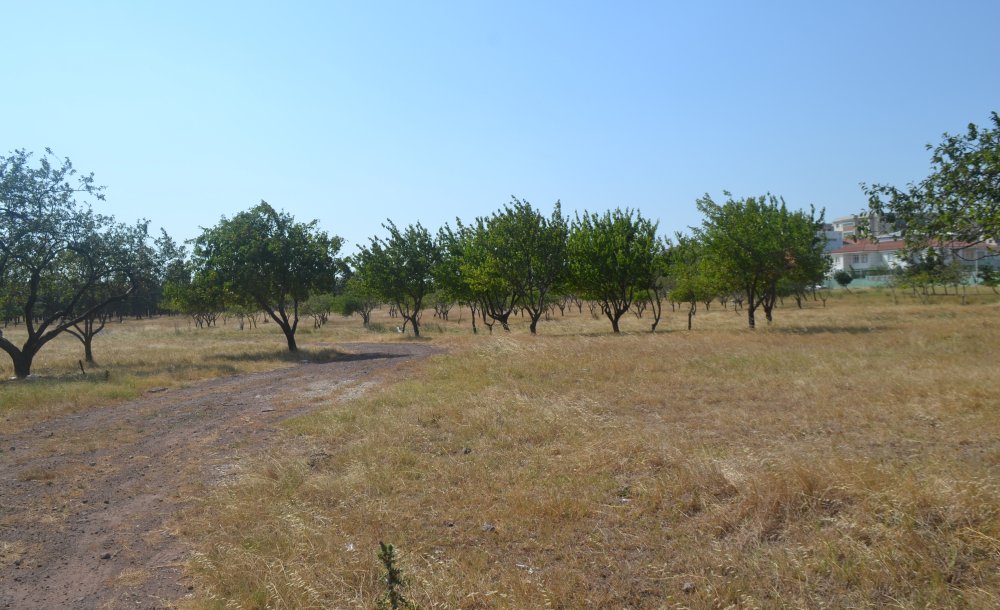  Çorlu Tema Parkı İçin Birleşsin!