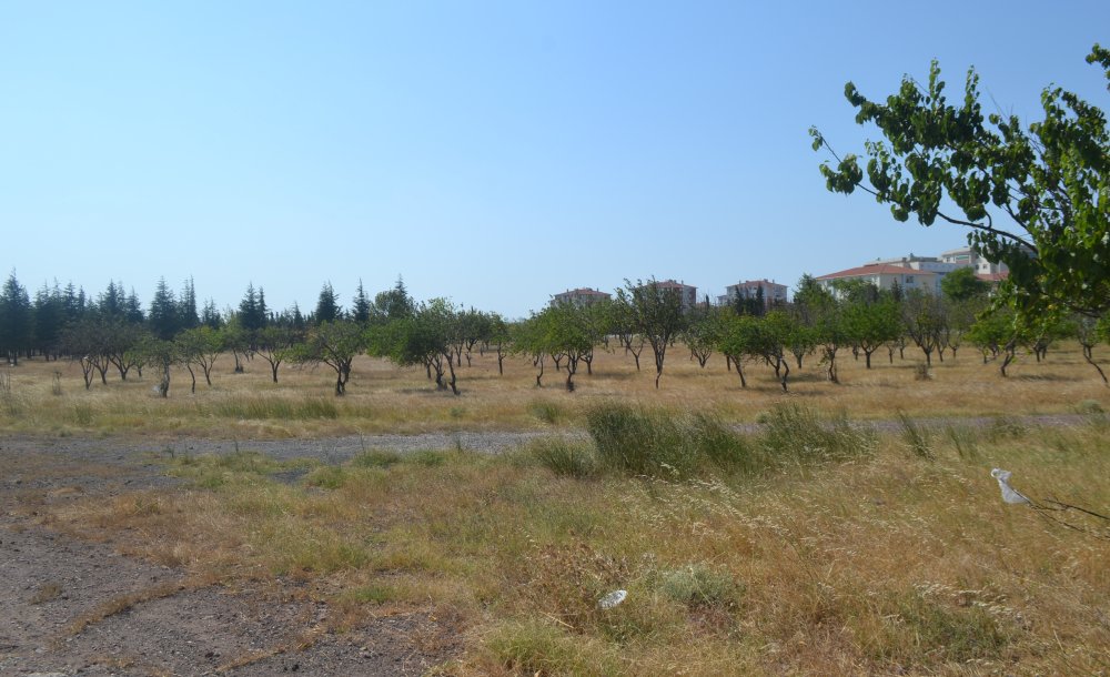  Çorlu Tema Parkı İçin Birleşsin!