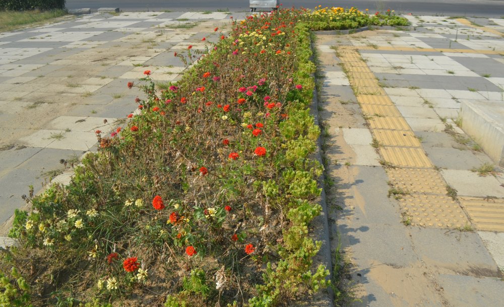 Zübeyde Hanım Parkı'nın Bakımsızlığı Tepki Çekiyor