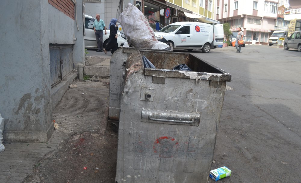 Çöp Kutularının Siyah Görüntüsü Tepki Çekiyor 