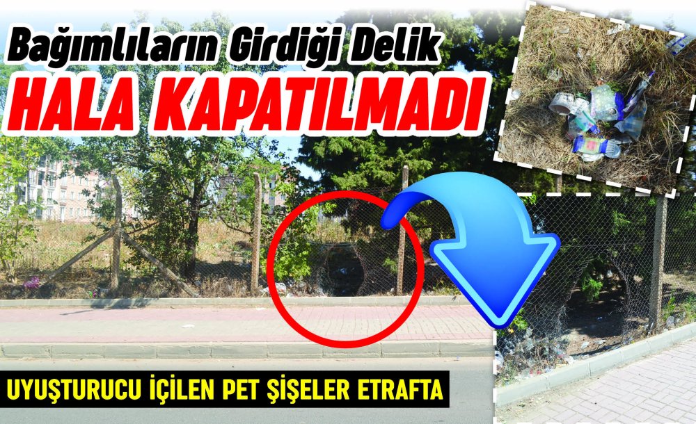 Bağımlıların Girdiği Delik Hala Kapatılmadı 