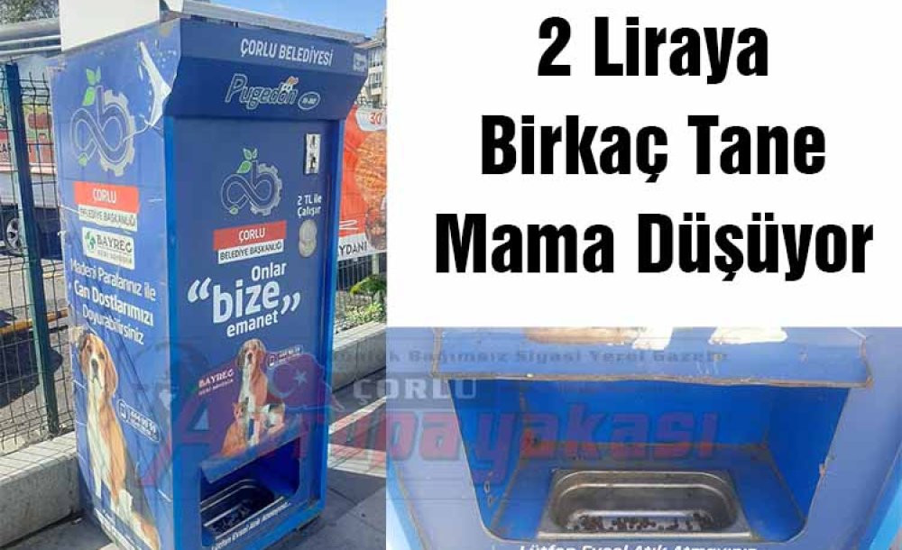 2 Liraya Birkaç Tane Mama Düşüyor 