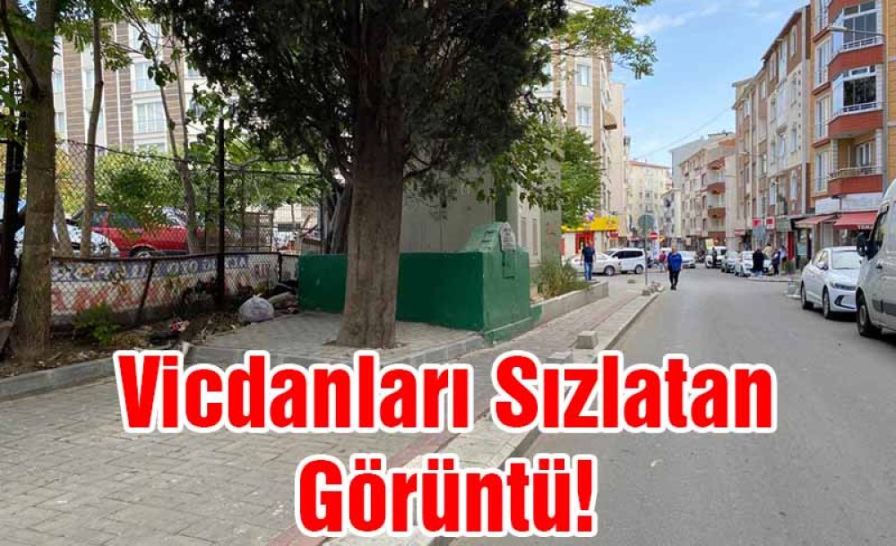 Vicdanları Sızlatan Görüntü!