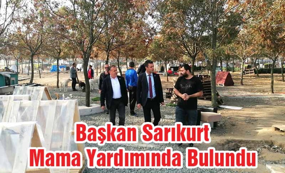 Başkan Sarıkurt Mama Yardımında Bulundu 