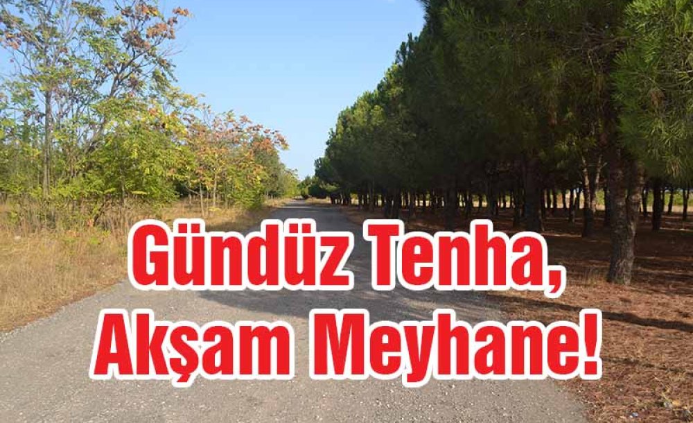 Gündüz Tenha, Akşam Meyhane!